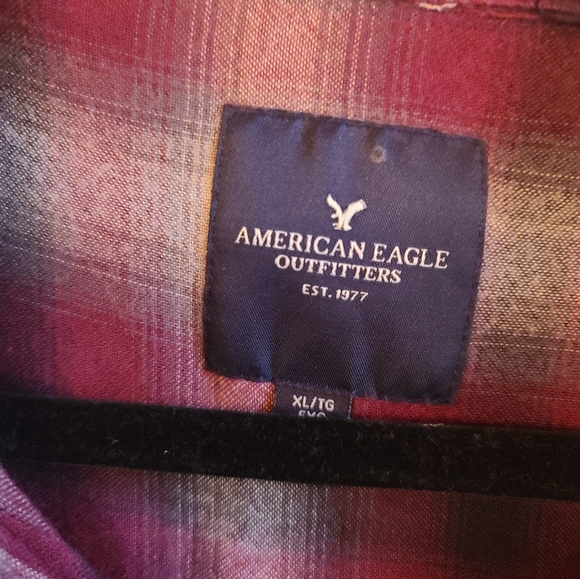 American eagle - Picture 5 of 5